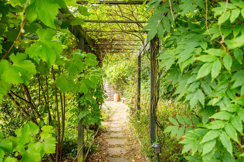 Garden- click for photo gallery